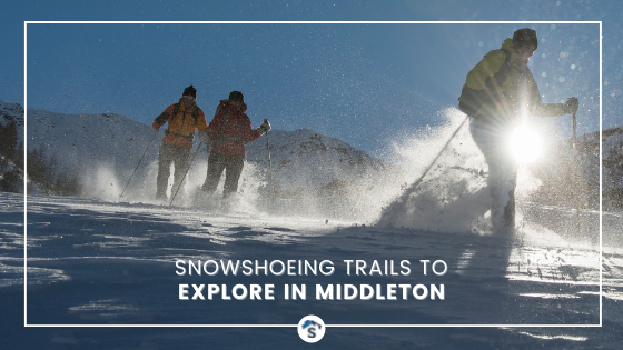Snowshoeing Trails
