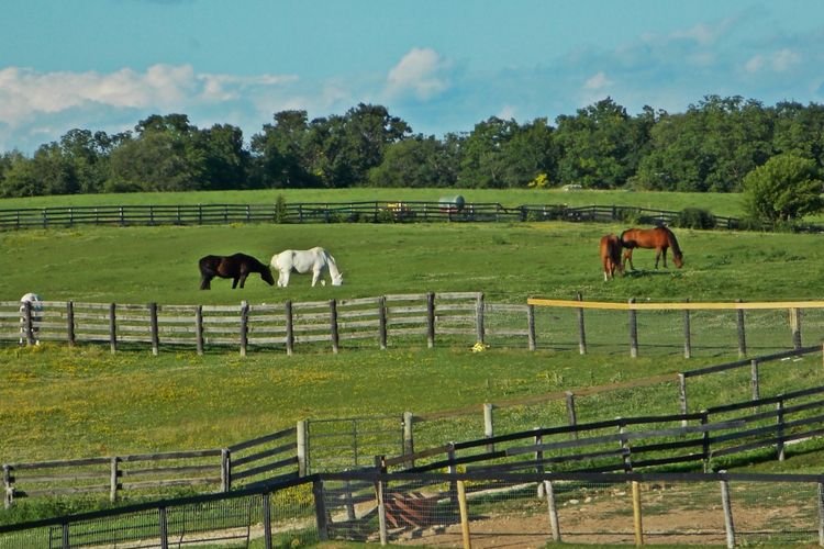 DeForest, WI Homes for Sale & Real Estate